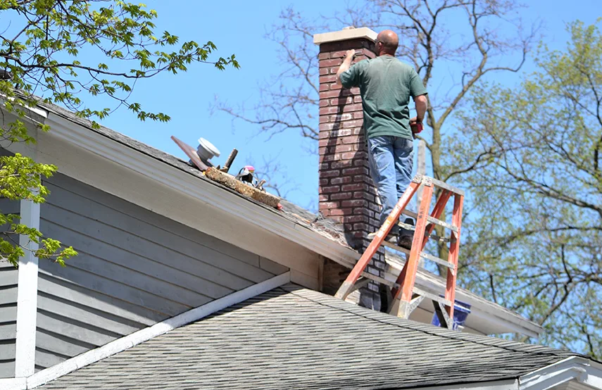 Chimney & Fireplace Inspections Services in Oxford, AL